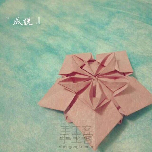 『成説』美腻的樱花🌸折纸教程