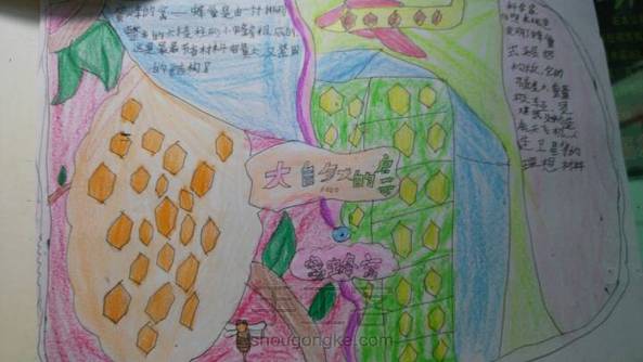 大自然的启示手抄报