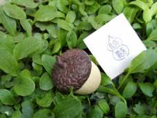橡树籽造型的小盒子，小叶黄杨的身体，貌似黑檀的帽子😁