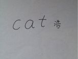 【小雨浩】教你用cat画一只猫
