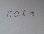 【小雨浩】教你用cat画一只猫