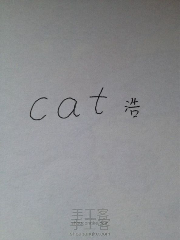 【小雨浩】教你用cat画一只猫