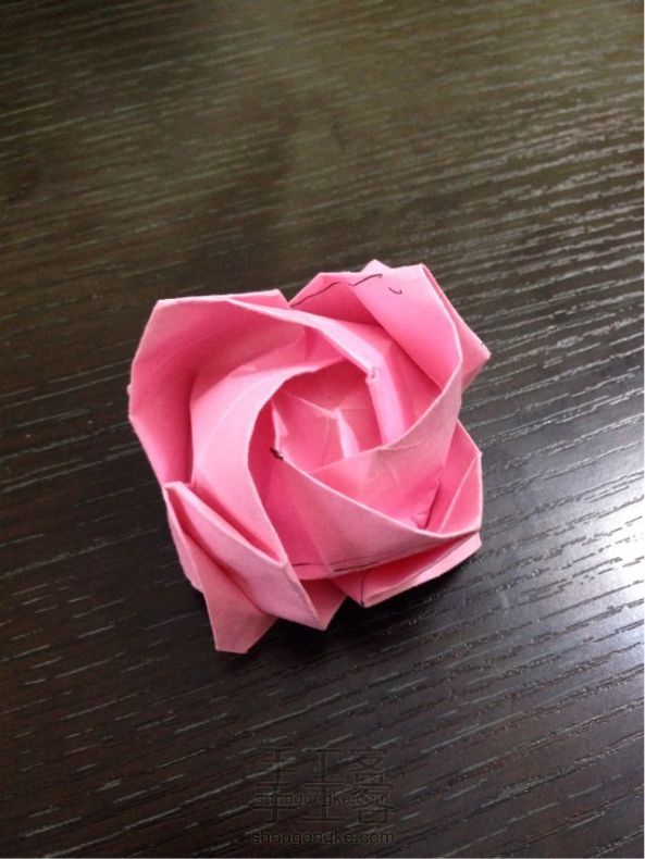 川崎玫瑰花