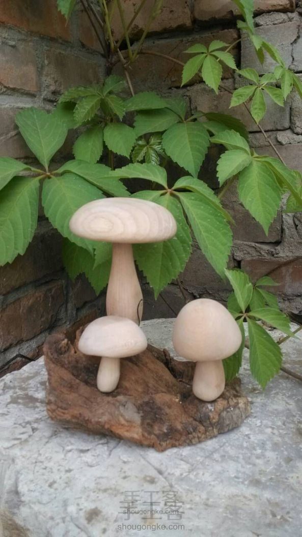 菜菜的萌蘑菇