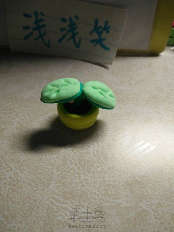 绿叶小盆栽(我是新手,第一次做)