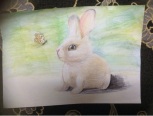 萌萌哒的手绘小兔子