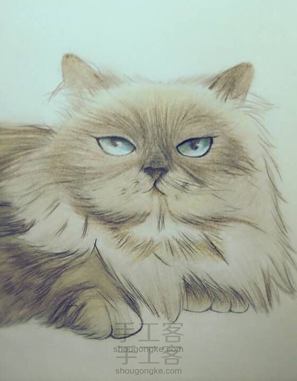 爱猫人士注意!!教你画喵星人