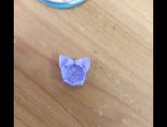 转 小猫盒子
