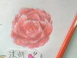 毁——1.玫瑰