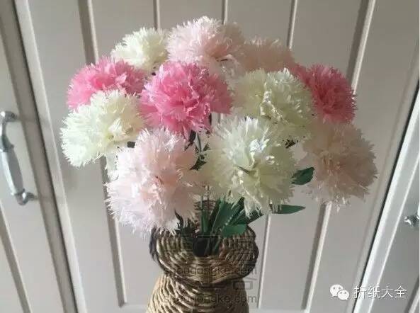 《康奈馨》母亲节送给妈妈的礼物。(转)