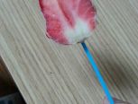 【原创】简单草莓冰棍