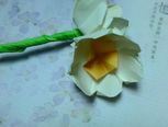 清新铃兰花