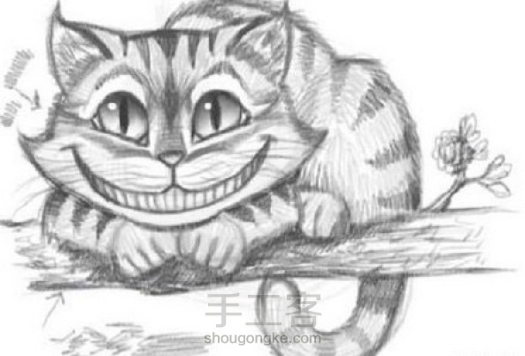 【手绘】还记得爱丽丝与梦游仙境的柴郡猫吗?