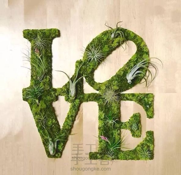 苔藓作画,美化身边(转)
