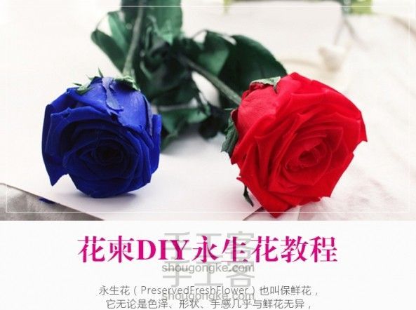 花柬永生花DIY教程