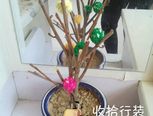 看我枯树枝的变身