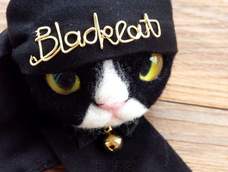 黑猫寿司 黑猫寿司