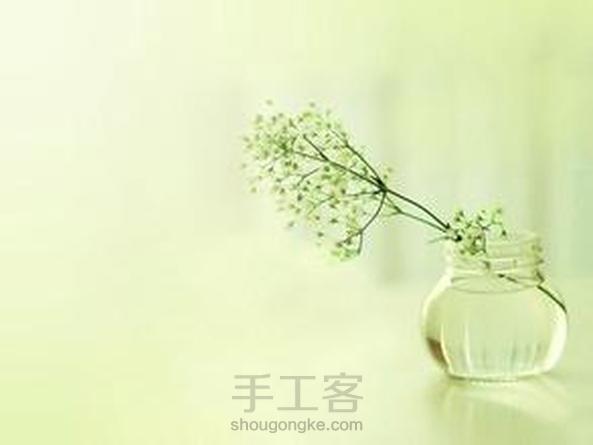 丝网花(百合)转载