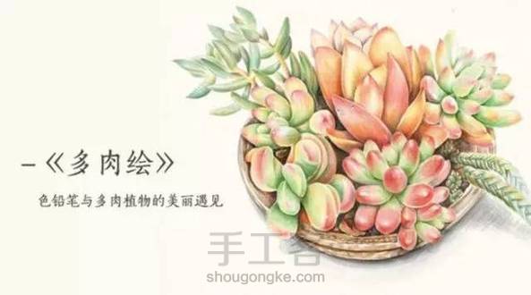 转)纸上彩铅——《多肉篇》