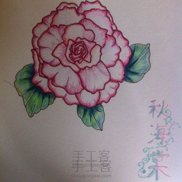 论如何捕捉一只秋海棠