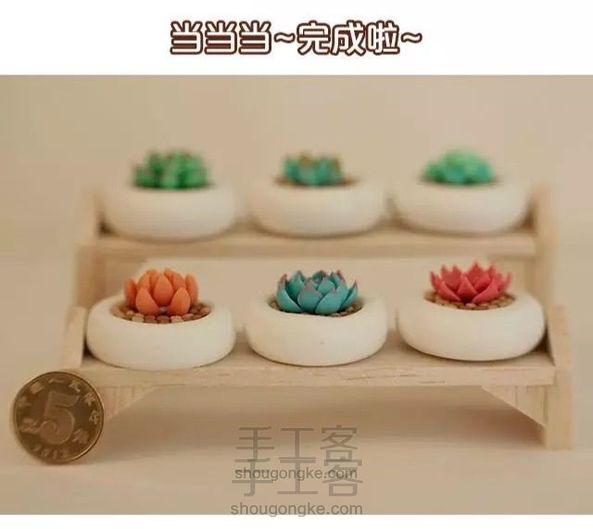 转)美味的多肉