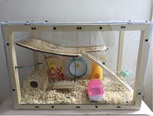 给小仓鼠建个家