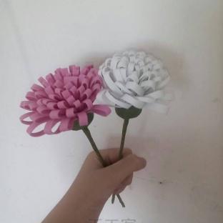 海绵纸菊花