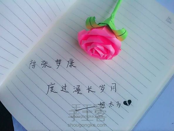 山茶花(一)