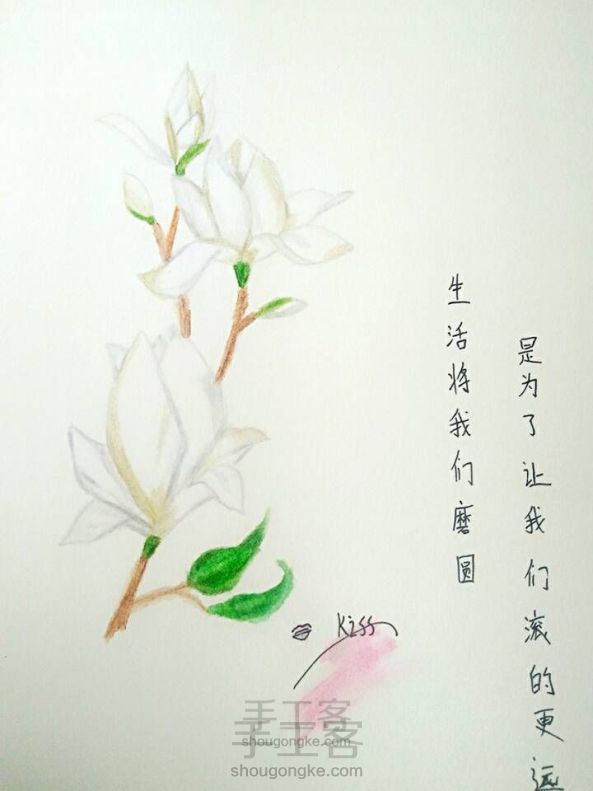 彩铅玉兰花