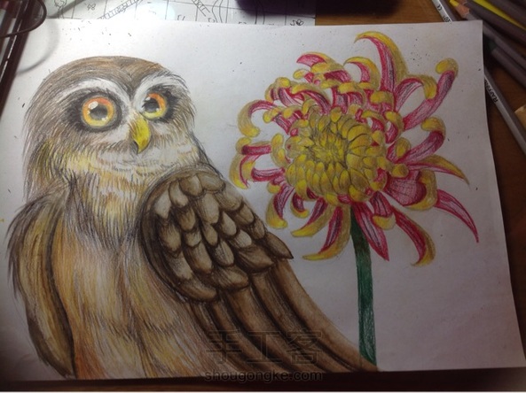 花鸟绘(下)o((^▽^))o