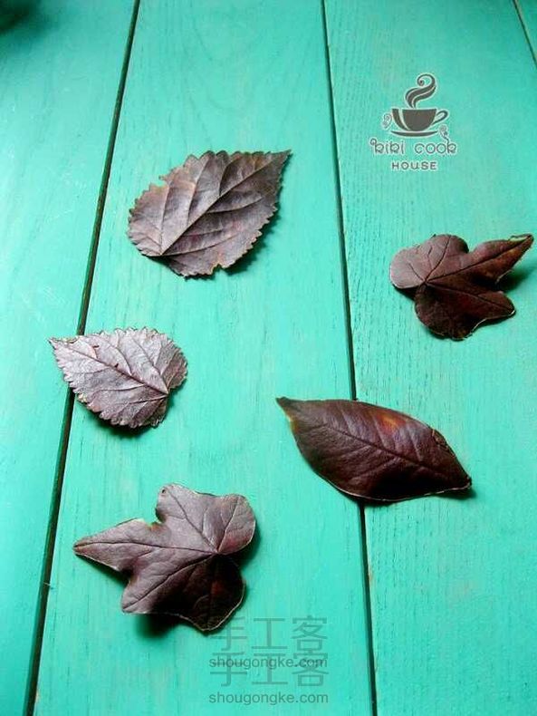 无法想象树叶巧克力