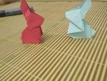 小兔纸，小纸兔