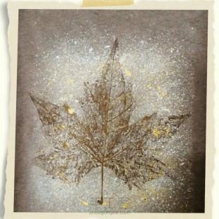 叶之美~改造个性T恤