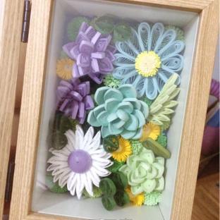 蓝色的多肉植物