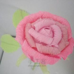 玫瑰花