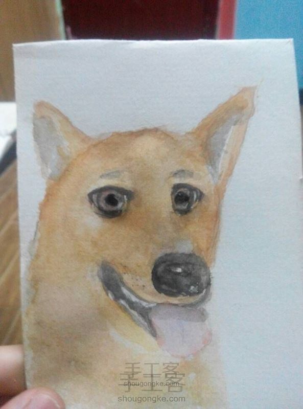 初学画自家狗狗(Ω_Ω)第一次玩,不喜勿喷。。