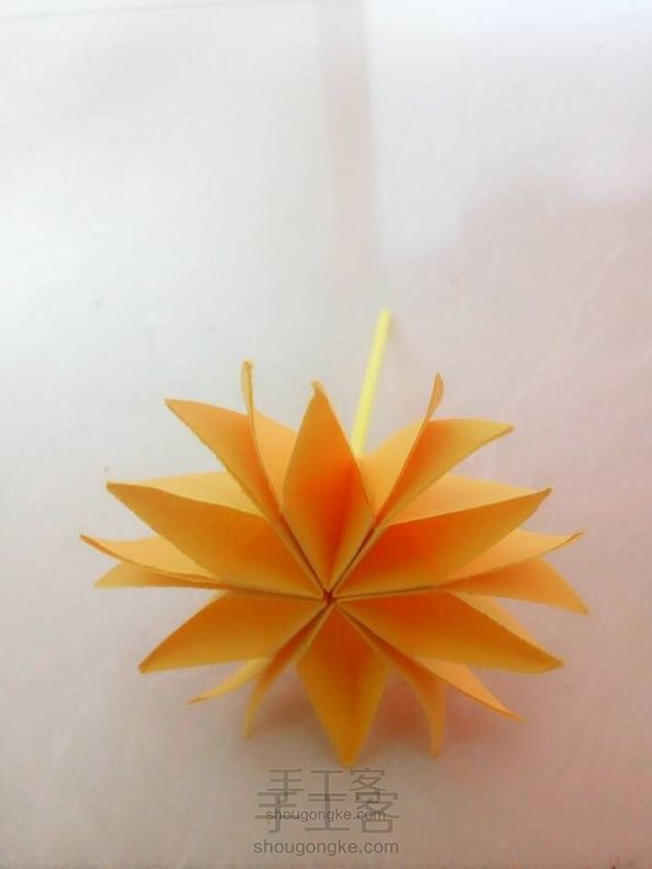 美美哒的小花🌸