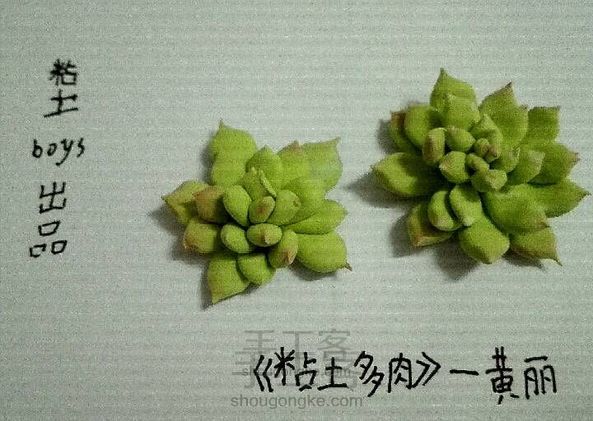 粘土黄丽