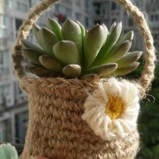 多肉度夏神器，麻绳花盆