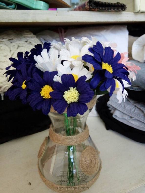小雏菊,我们叫它野菊花