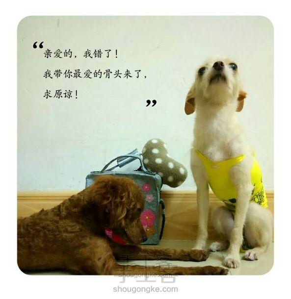 小丸子包包出境,求赞