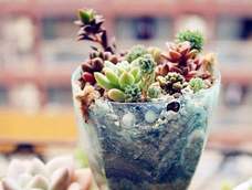 艺术花盆DIY 艺术花盆DIY
