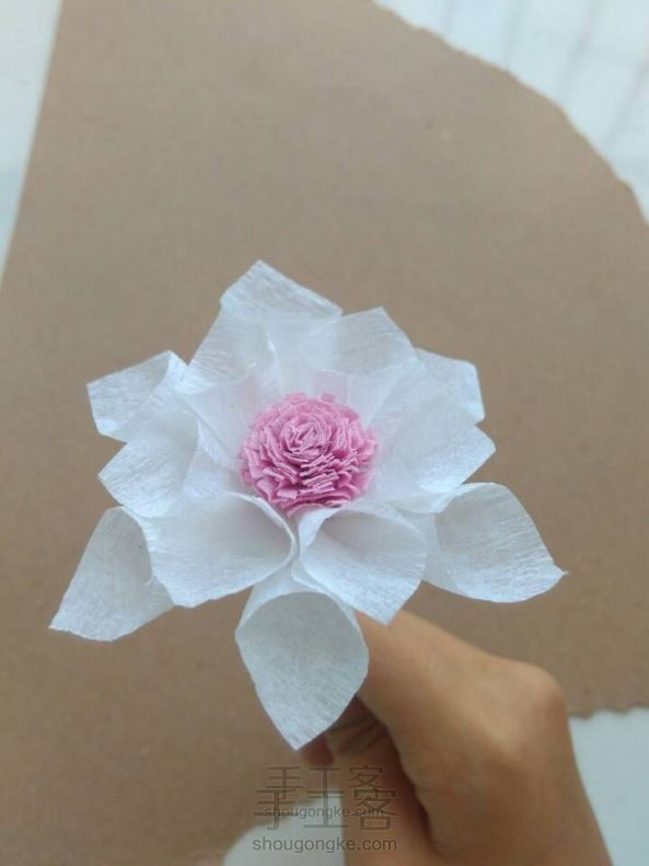 皱纹纸纸花