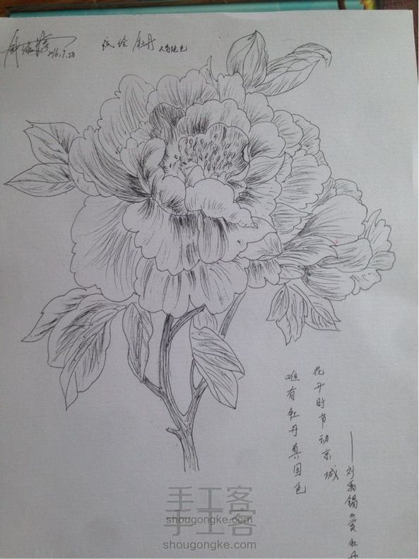 《赏牡丹》