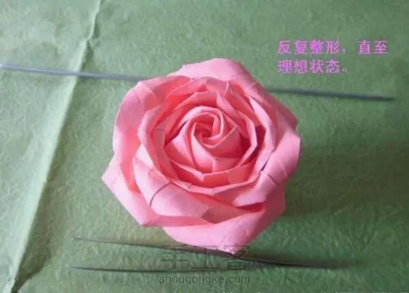 折玫瑰花