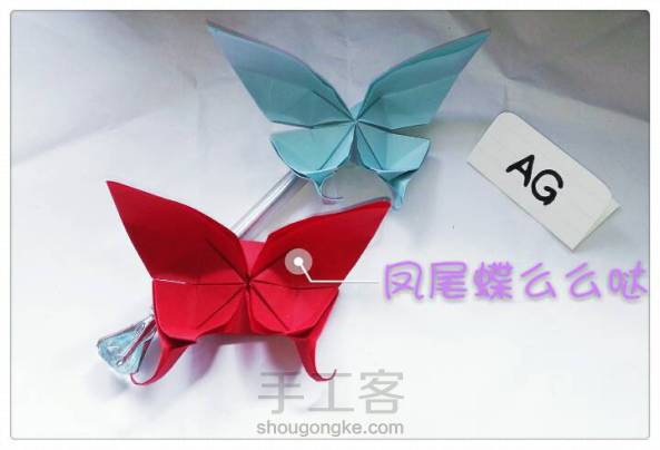 【AG】详细的两款美腻凤尾蝶