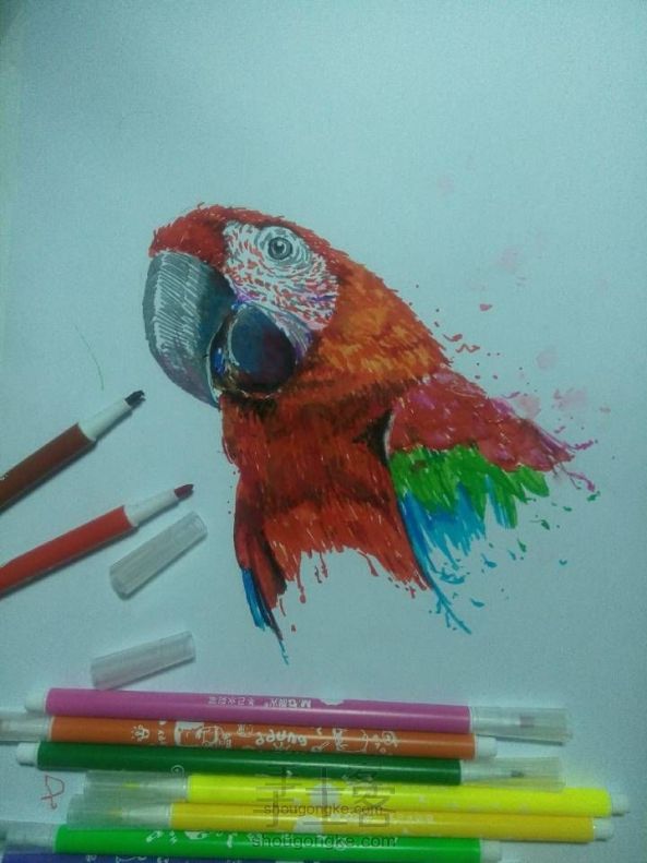 水彩笔画鹦鹉