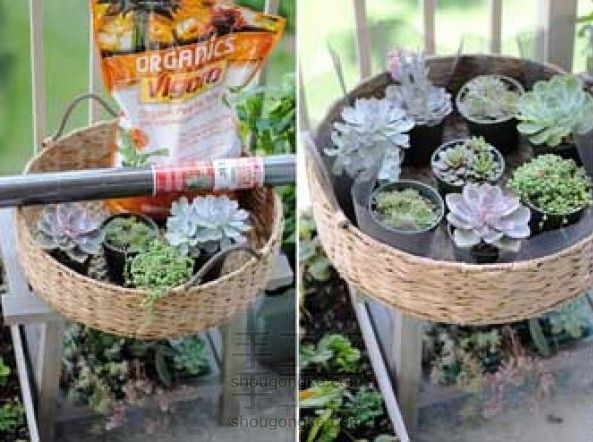室内小花园——多肉植物篮子DIY