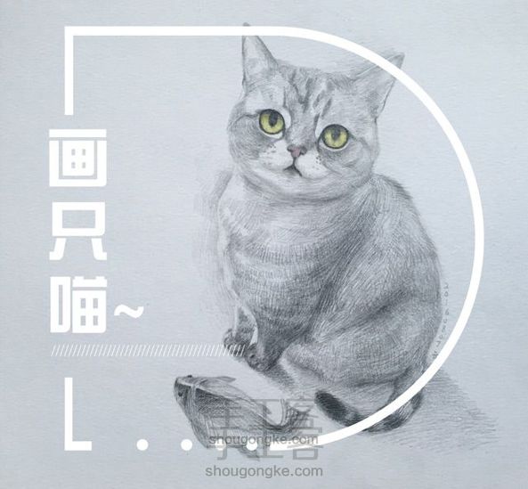 素描猫咪