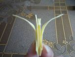 承载愿望的千纸鹤（自制）
